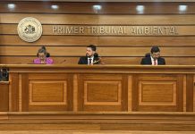 Con un alza en el número de sentencias dictadas, menor tiempo de tramitación y alta confirmación en tribunales superiores, el Primer Tribunal Ambiental publicó su Cuenta Pública 2025