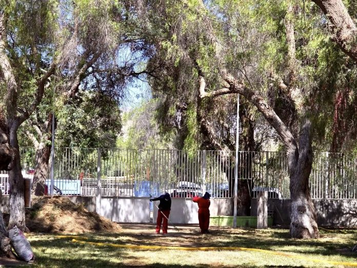 Mantención parque 1