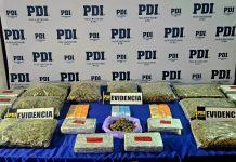 PDI ATACAMA Y FISCALÍA DESARTICULAN ESTRUCTURA CRIMINAL INCAUTANDO 24 KILOS DE CANNABIS EN COPIAPÓ