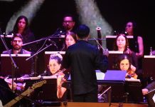 Orquesta Sinfónica Municipal presentará concierto especial para la familia en Copiapó