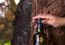 Aceite de oliva extra virgen: el tesoro nutricional que alberga el valle del Huasco