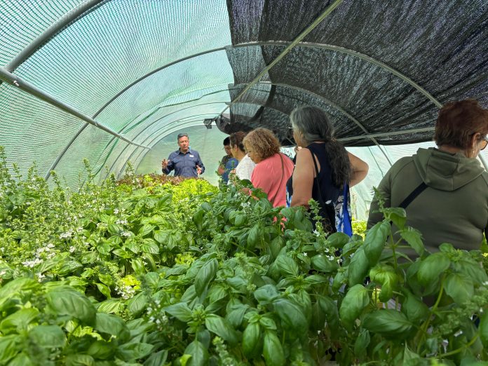 agroemprende8