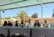 VALLENAR CANTA 2026 PRESENTA SU PARRILLA OFICIAL CON DESTACADOS ARTISTAS NACIONALES Y LOCALES
