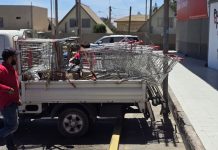 Disem recupera más de 70 carros de supermercados en la vía pública en menos de una semana