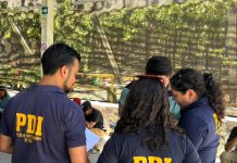 PDI ATACAMA DENUNCIÓ A DOCE PERSONAS TRAS FISCALIZACIÓN DE EXTRANJEROS EN ALTO DEL CARMEN
