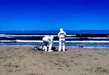 Encuentran sin vida a buzo desaparecido en Playa Las Salinas de Caldera
