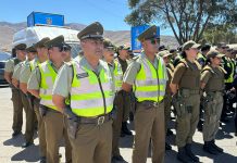 Cerca de 50 carabineros resguardan seguridad en Feria de La Candelaria