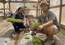 Joven agricultor de Copiapó impulsa innovador emprendimiento de producción de plantines