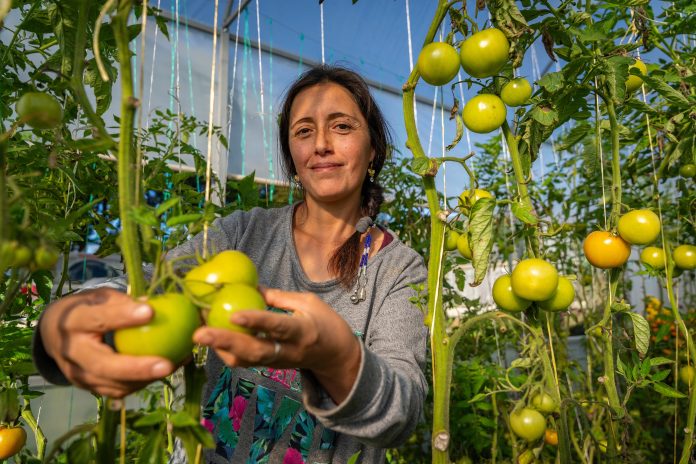 Faro agroeocológico Karla Llancacura