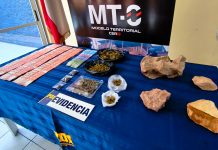 OPERATIVO MT-0 PERMITIÓ LA DETENCIÓN DE TRES HERMANOS Y LA INCAUTACIÓN DE CANNABIS EN VALLENAR