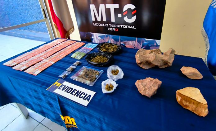 Operativo MT-0 Vallenar 04.03.2026 02