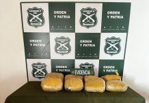 En Diego de Almagro: CARABINEROS ENCUENTRA 39 PAQUETES DE MARIHUANA