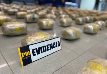 Incautan más de 600 kilos de droga avaluados en más de $3 mil millones en operativo de Fiscalía y PDI en Atacama