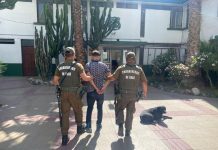 Copiapó: Carabineros detiene a pareja por porte de arma de fuego y arma blanca