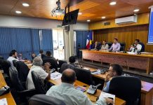 Delegada Presidencial Regional Sofía Cid Versalovic se presentó ante el CORE