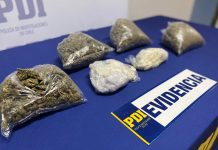 CALDERA: INVESTIGACIÓN MT-0 PERMITIÓ LA DETENCIÓN DE LA “PRÓFUGA DEL MENUDEO”