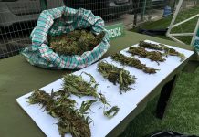 Control vehicular en Tierra Amarilla permitió incautar más de 32 kilos de marihuana y detener a 11 personas