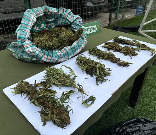 Control vehicular en Tierra Amarilla permitió incautar más de 32 kilos de marihuana y detener a 11 personas
