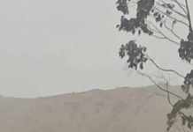 Gracias al aviso de sus perros: vecinos rescatan a hombre que cayó a una quebrada en Vallenar