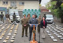 Diego de Almagro: Fiscalía y Carabineros desbaratan red criminal dedicada al tráfico de 270 kilos de marihuana