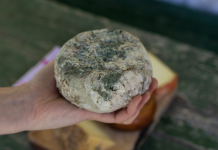 Autoridad Sanitaria reitera riesgos a la salud por consumo de queso de cabra en comercio informal y refuerzan medidas de prevención