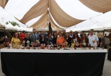 Más de 90 artesanos y artesanas de todo Chile dan vida a la XV Feria Nacional de Artesanía de Bahía Inglesa