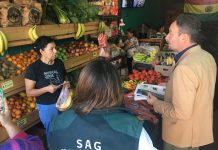 Seremi de Agricultura y SAG piden a la comunidad comprar frutas y verduras en locales establecidos por brote de mosca de la fruta