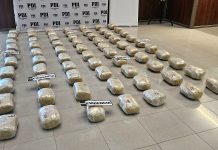 PDI ATACAMA Y FISCALÍA INCAUTAN MÁS DE 80 KILOS DE CANNABIS TRAS OPERATIVO EN CALDERA