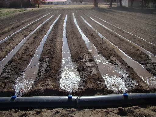 Tecnificación 5 (4) (1)