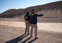 PDI ATACAMA INVESTIGA ATAQUE DE PERROS A DEPORTISTA EN PAIPOTE