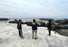 PDI ATACAMA REALIZA DILIGENCIAS INVESTIGATIVAS TRAS CASOS DE MALTRATO ANIMAL EN BAHÍA INGLESA