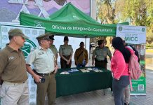 CARABINEROS FORTALECE ACCIONES PARA INCENTIVAR LA ENTREGA VOLUNTARIA DE ARMAS