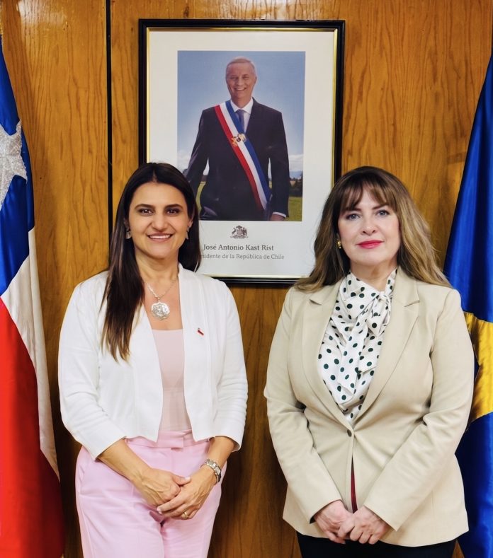 delegada sofia cid - seremi justicia.JPG