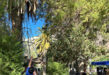 Estudiantes de Turismo del Liceo Bicentenario Alto del Carmen promueven el patrimonio local en el Valle del Tránsito