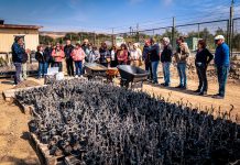 CMP fortalece el desarrollo agrícola del Valle de Huasco con nueva versión de AgroEmprende