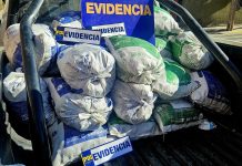 OPERATIVO PERMITIÓ LA INCAUTACIÓN DE MÁS DE UNA TONELADA DE MACHAS Y LA DESARTICULACIÓN DE UNA ESTRUCTURA CRIMINAL EN CALDERA