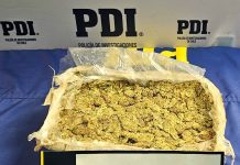 PDI ATACAMA INCAUTÓ MÁS DE UN KILO DE DROGA TRAS OPERATIVO EN LAS TOMAS DE ANDACOLLO