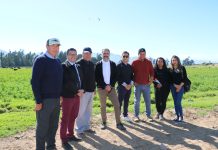 Sector ganadero y forrajero del Huasco impulsa instalación de planta faenadora en la provincia