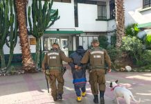 DETENIDO POR FALTAR EL RESPETO A LA AUTORIDAD EN COPIAPÓ