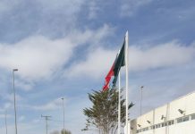 Dos conductores detenidos por manejo bajo efectos de sustancias psicotrópicas en control carretero en Atacama