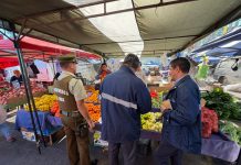 CARABINEROS Y SERVICIOS PÚBLICOS FISCALIZAN FERIA LIBRE DE AVENIDA COPAYAPU