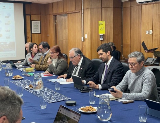 caomision-carne-bovina-campos-ministro
