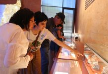 Museo Regional extiende horario de atención los sábados