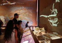 Un total de 128 actividades darán vida a celebración del Día del Patrimonio en todas las comunas de Atacama