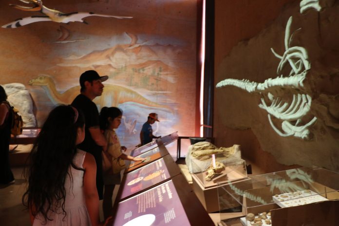 nuevo Museo regional de Atacama (41)
