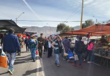SAG reitera llamado a feriantes a inscribirse ante el servicio