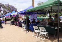 Feria laboral en Diego de Almagro ofrecerá más de 100 vacantes