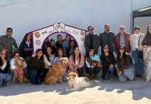 Emprendedora copiapina innova en productos alimentarios para mascotas gracias al apoyo de Corfo