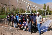Una minga para cultivar el futuro: agricultores construyen invernaderos hidropónicos en Atacama