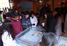 Más de 3.500 personas celebraron el Día del Patrimonio en el Museo Regional de Atacama